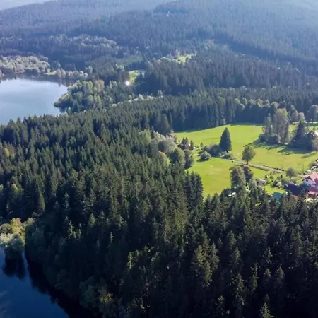 Apartament Apartman Stare Hamry *
